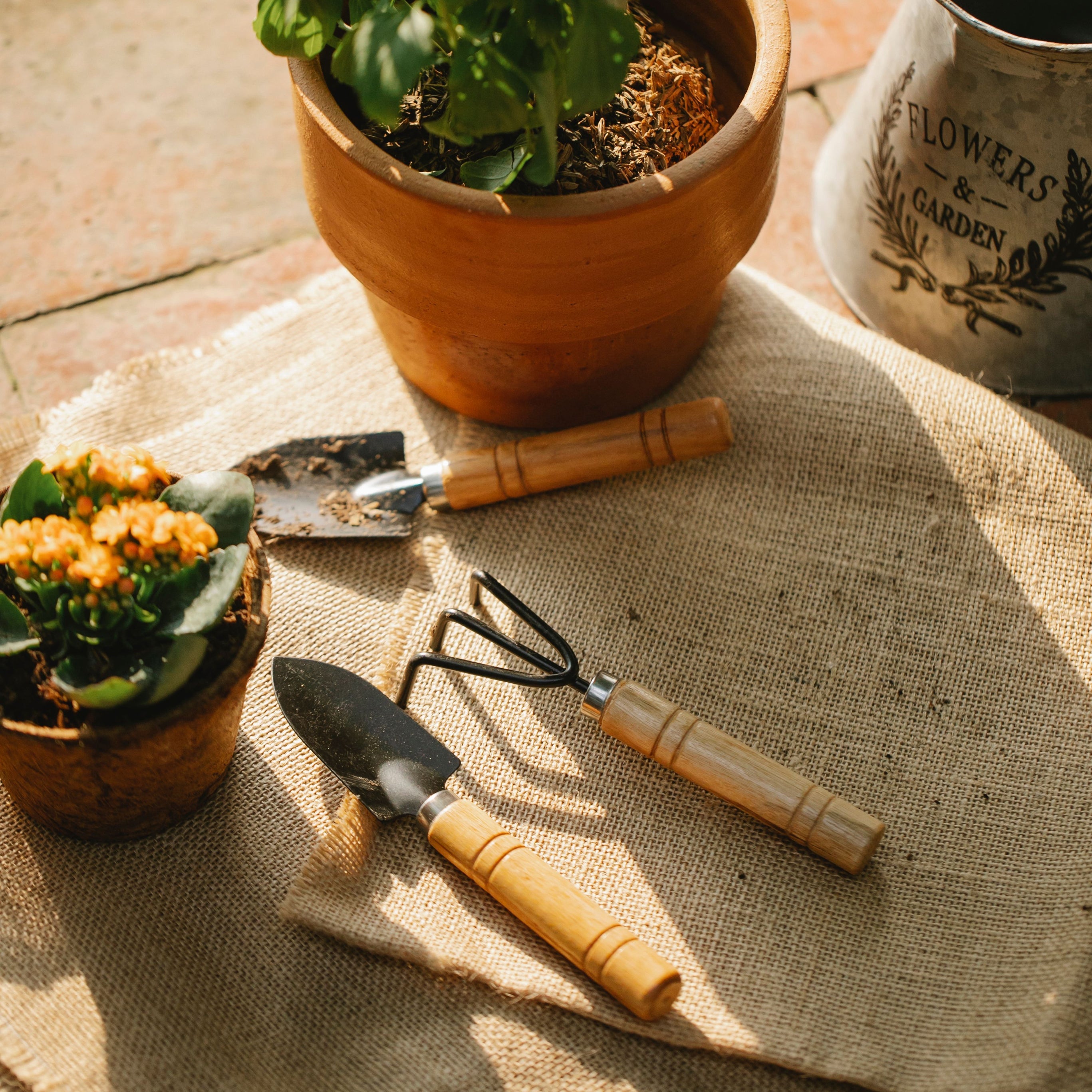 Plant Growing Supplies