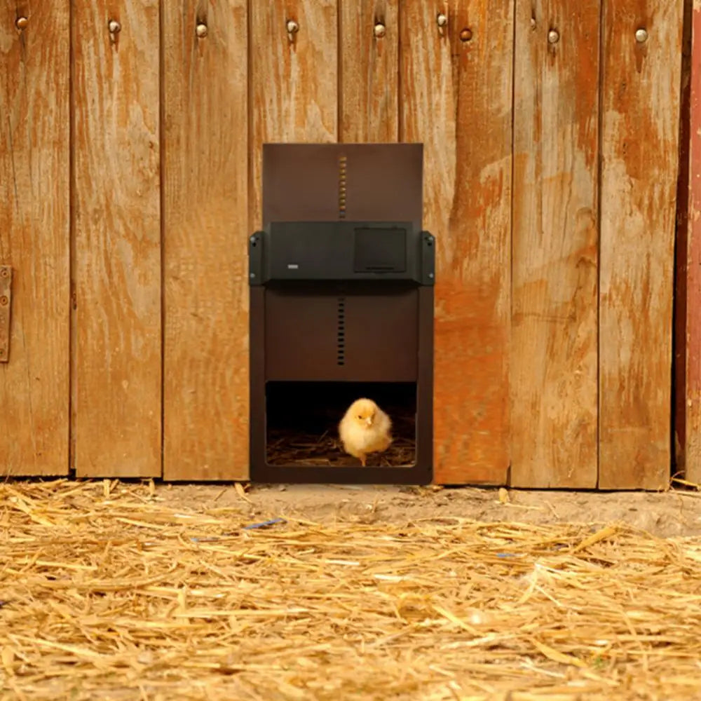 DuskiDeni Automatic Chicken Coop Door with Light Sensor