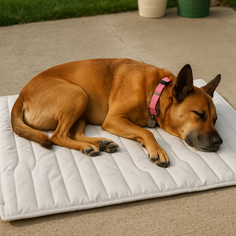 Kobolaf Dog Cooling Mat with Japanese Arc-Chill Technology