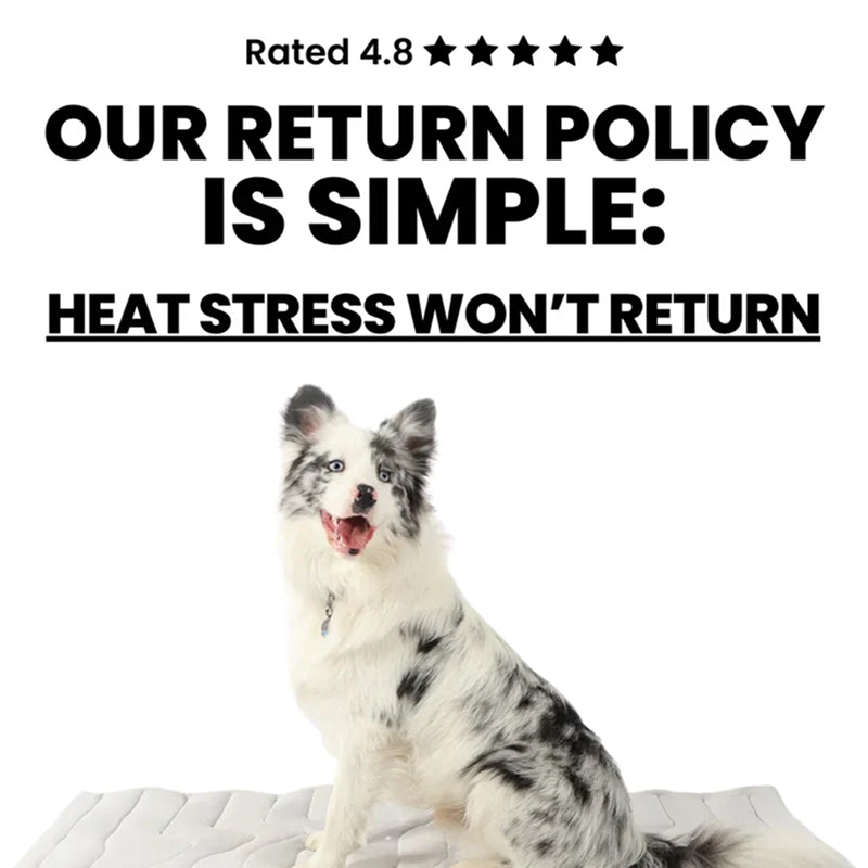 Kobolaf Dog Cooling Mat with Japanese Arc-Chill Technology