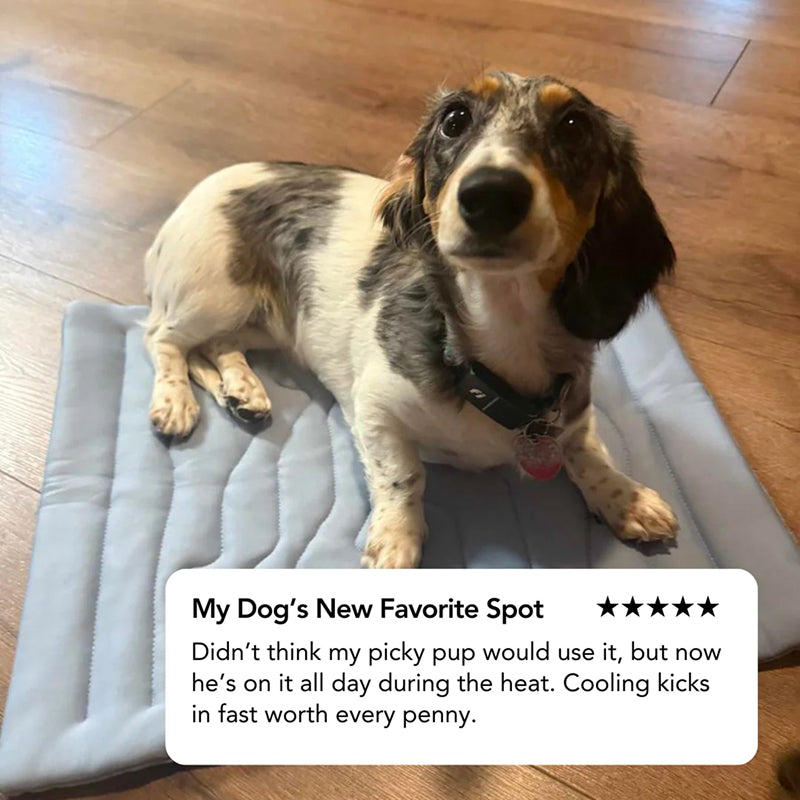 Kobolaf Dog Cooling Mat with Japanese Arc-Chill Technology