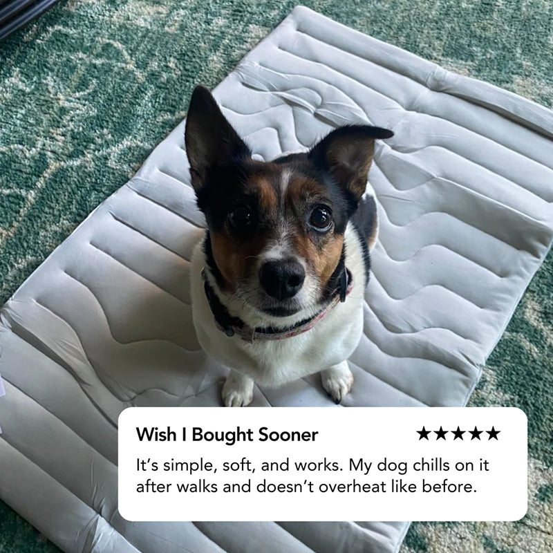 Kobolaf Dog Cooling Mat with Japanese Arc-Chill Technology