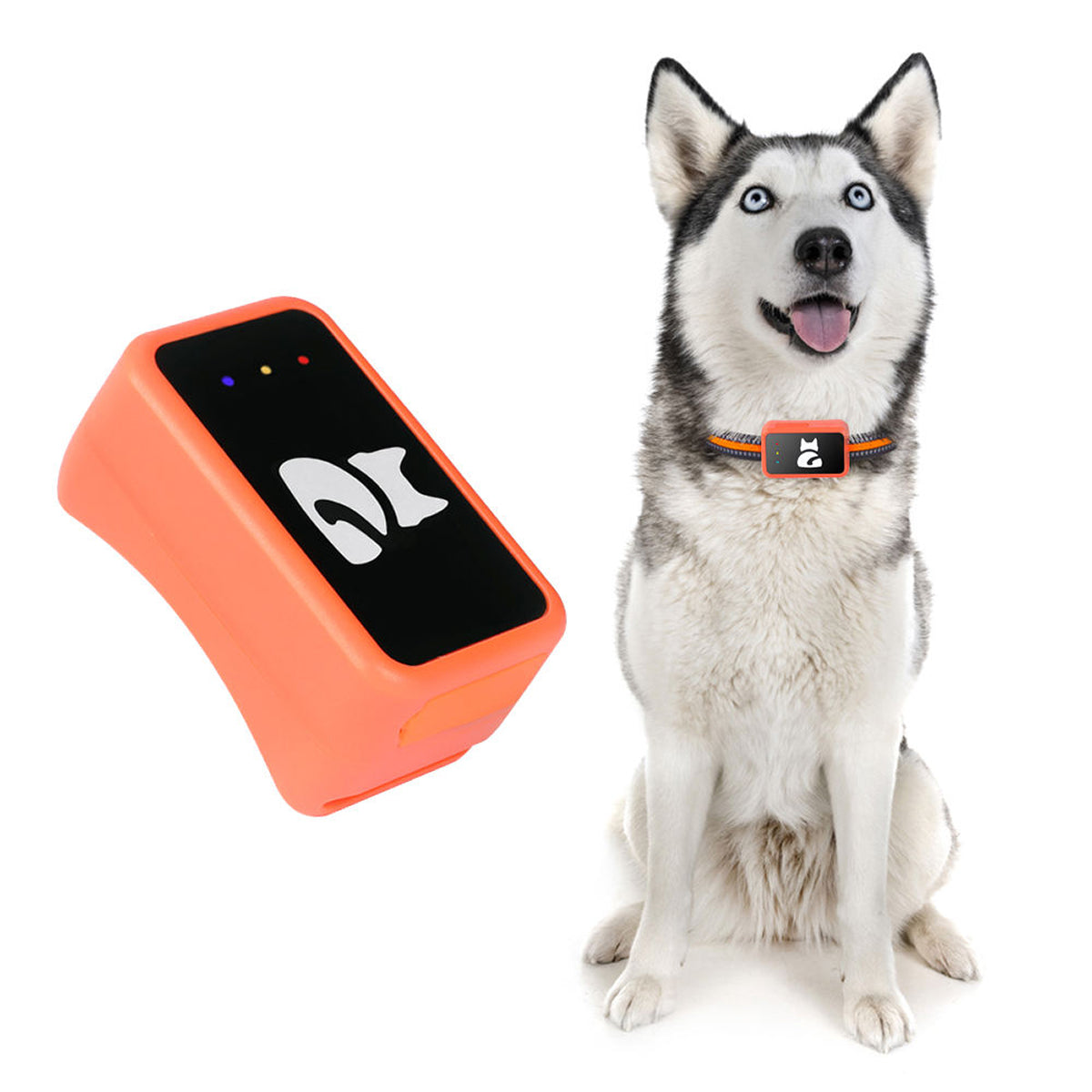 PawiSition GPS Cat Tracker - No Subscription Pet Tracking UK