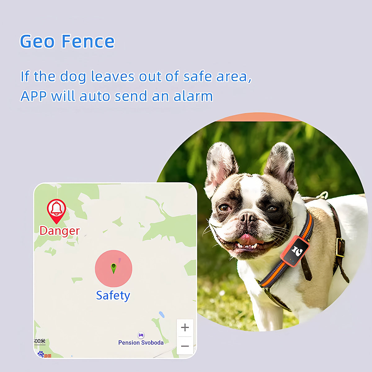PawiSition GPS Cat Tracker - No Subscription Pet Tracking UK