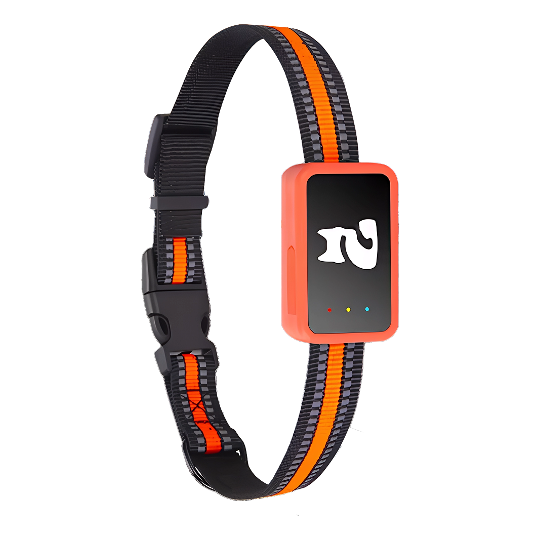PawiSition GPS Cat Tracker - No Subscription Pet Tracking UK